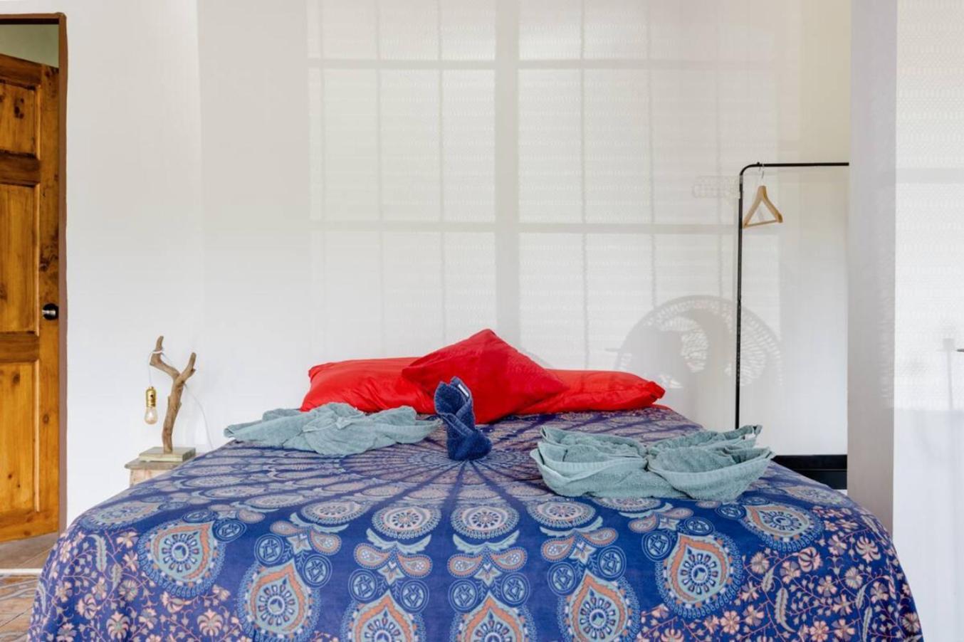 شقة Casa Patricia أوفيتا الغرفة الصورة